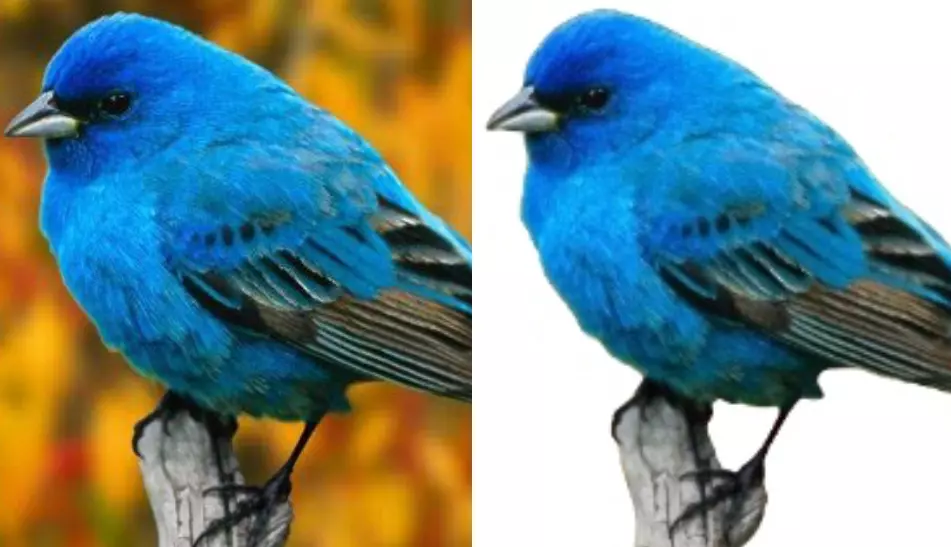 قص او تفريغ خلفيات الصور باحترافيه