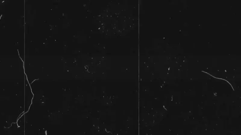 عمل انترو بطريقه جذابه