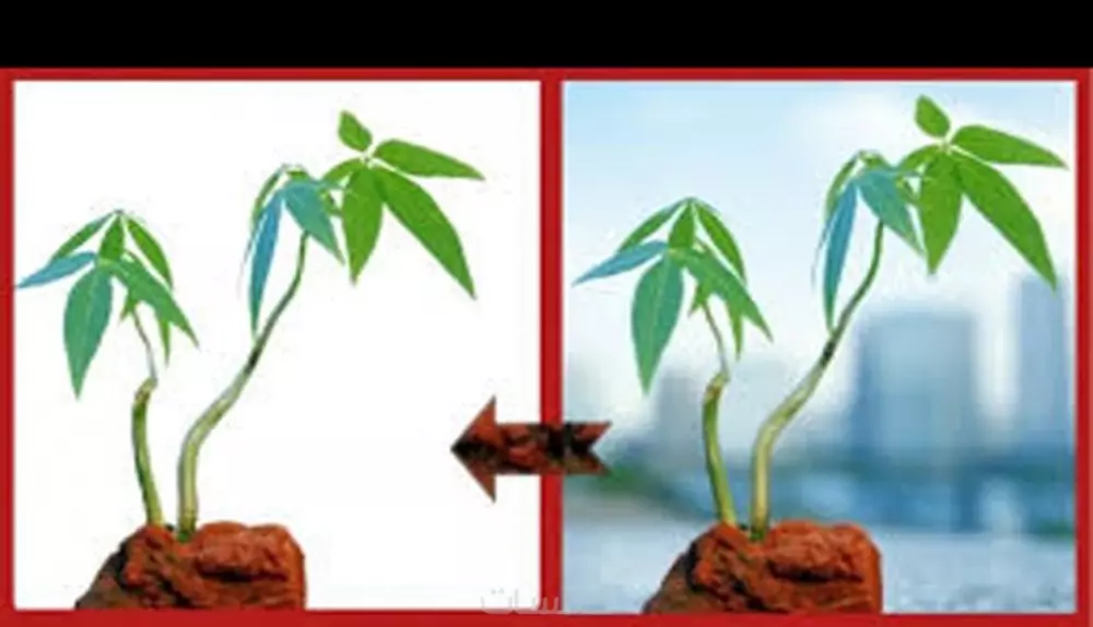 قص وتفريغ 20صورة مقابل 5$ دولار