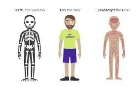 تحويل تصميم XD او PSD الي,html5,CSS3,javascript