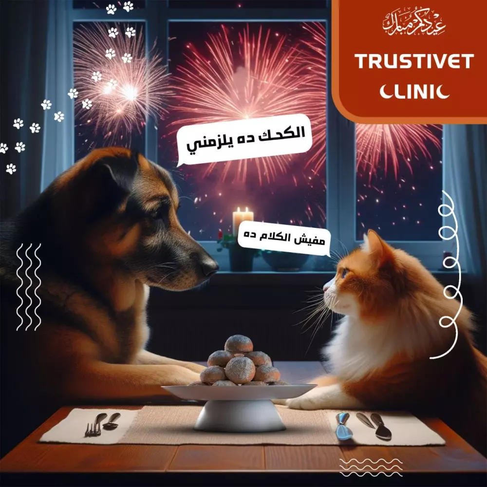 تصميمات سوشيال ميديا مبتكرة تناسب علامتك التجارية