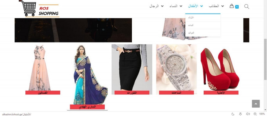 تصميم وتطوير المواقع الالكترونية