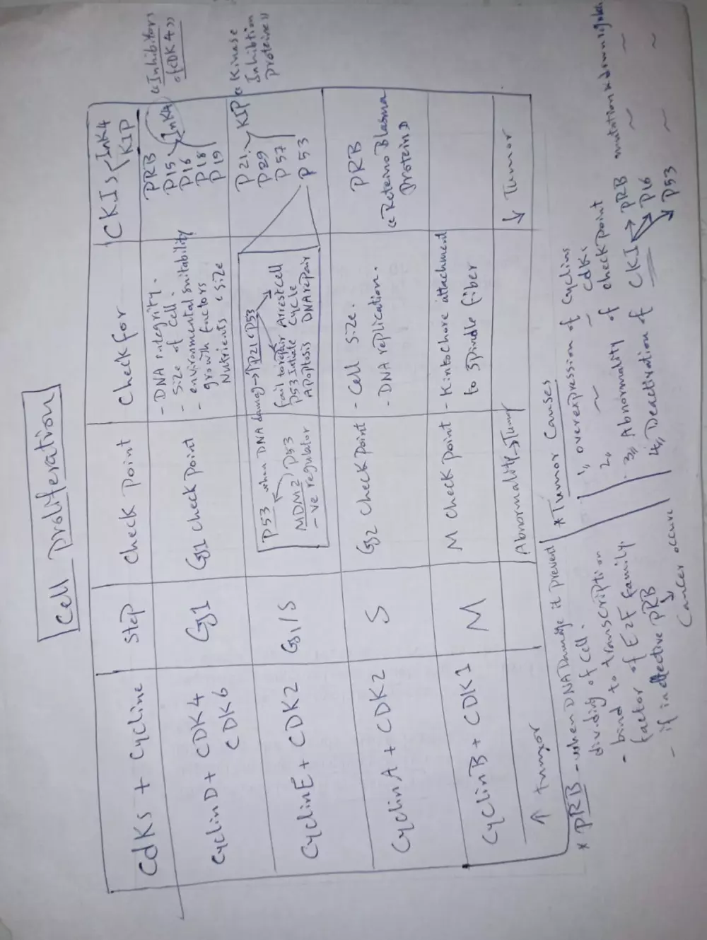 تلخيص واعادة صياغة المحاضرات