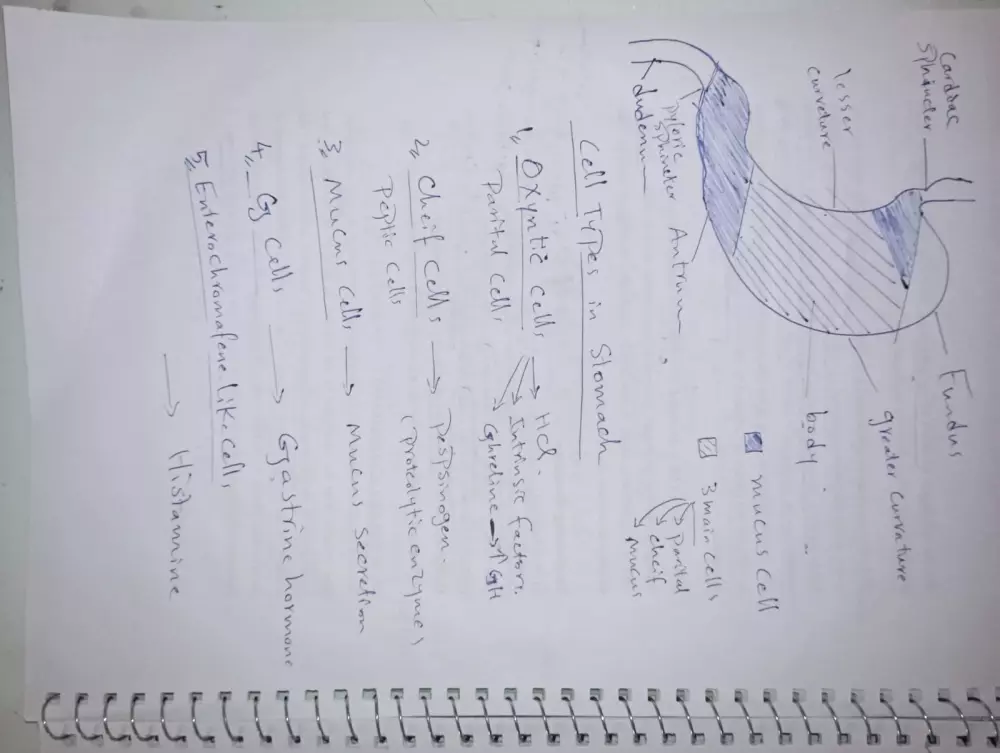 تلخيص واعادة صياغة المحاضرات