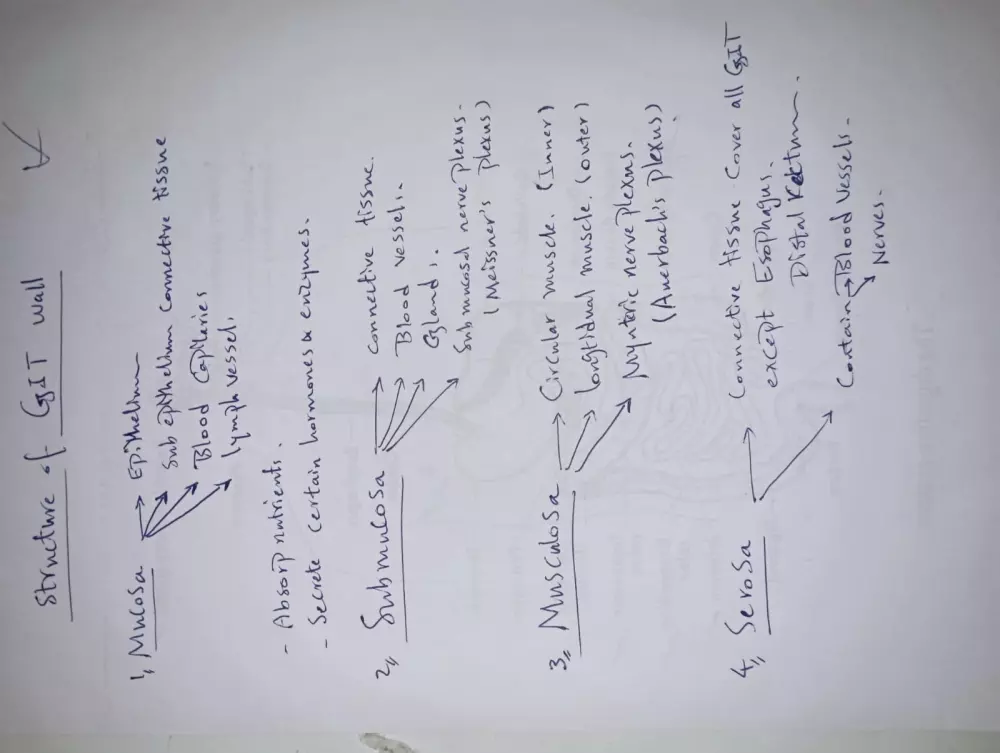 تلخيص واعادة صياغة المحاضرات