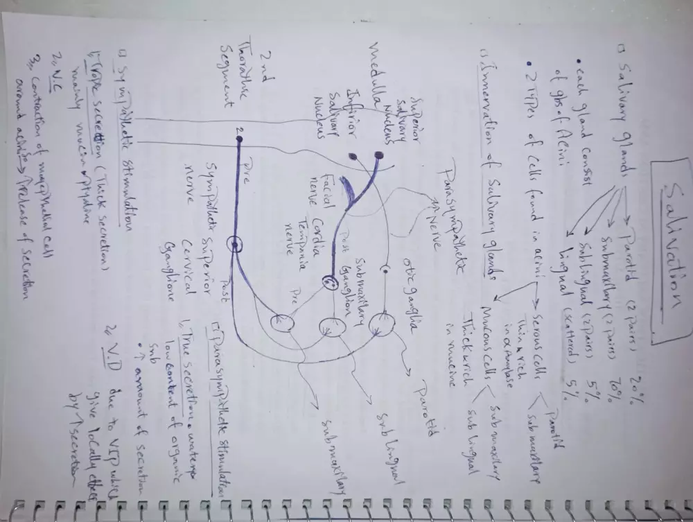 تلخيص واعادة صياغة المحاضرات
