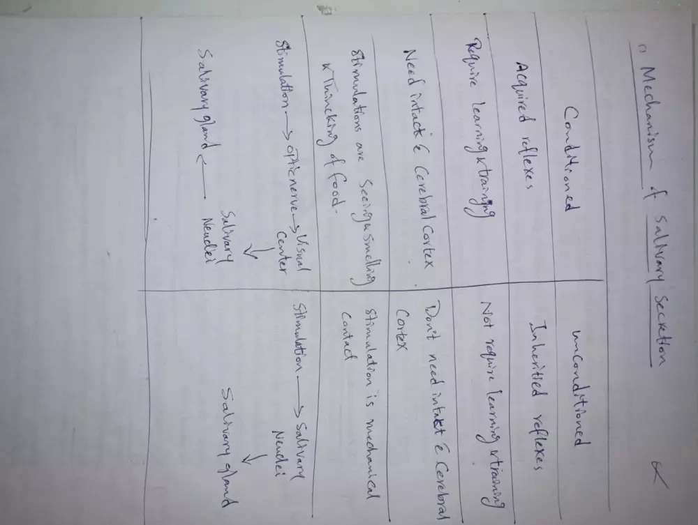 تلخيص واعادة صياغة المحاضرات