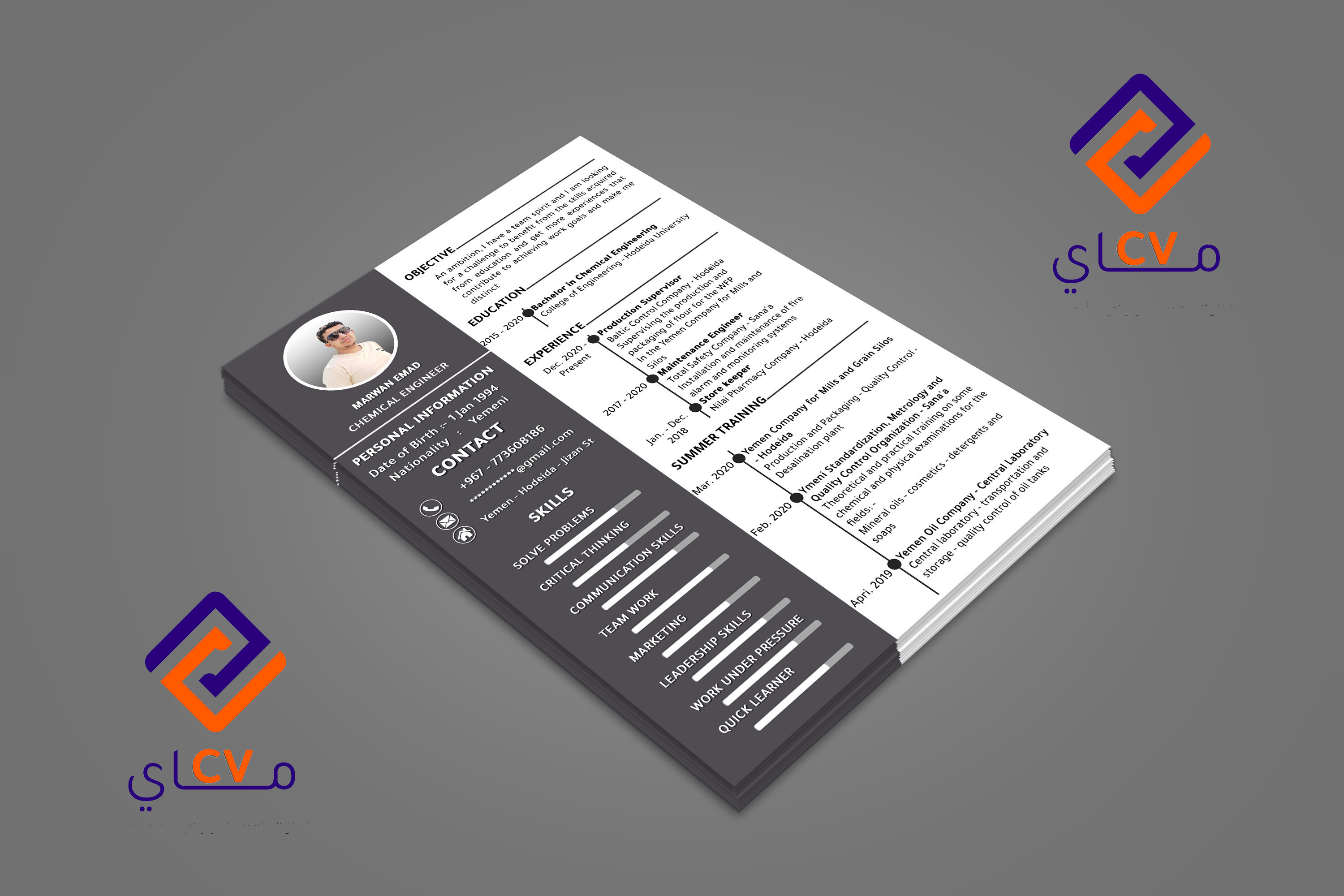 سوف اقوم بعمل سيرة ذاتية أحترافية CV وأنيقة