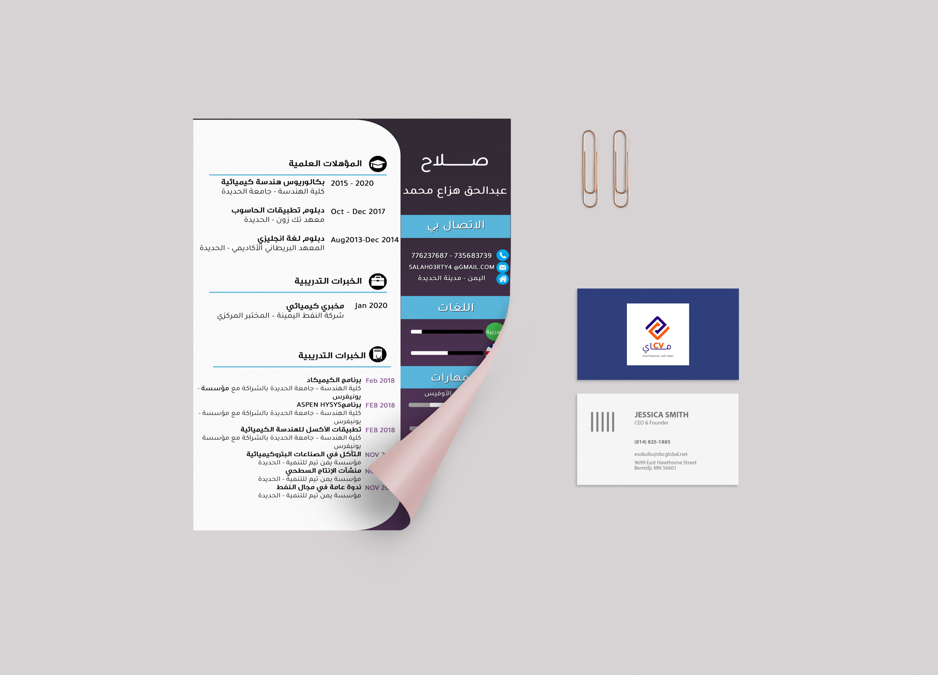 سوف اقوم بعمل سيرة ذاتية أحترافية CV وأنيقة