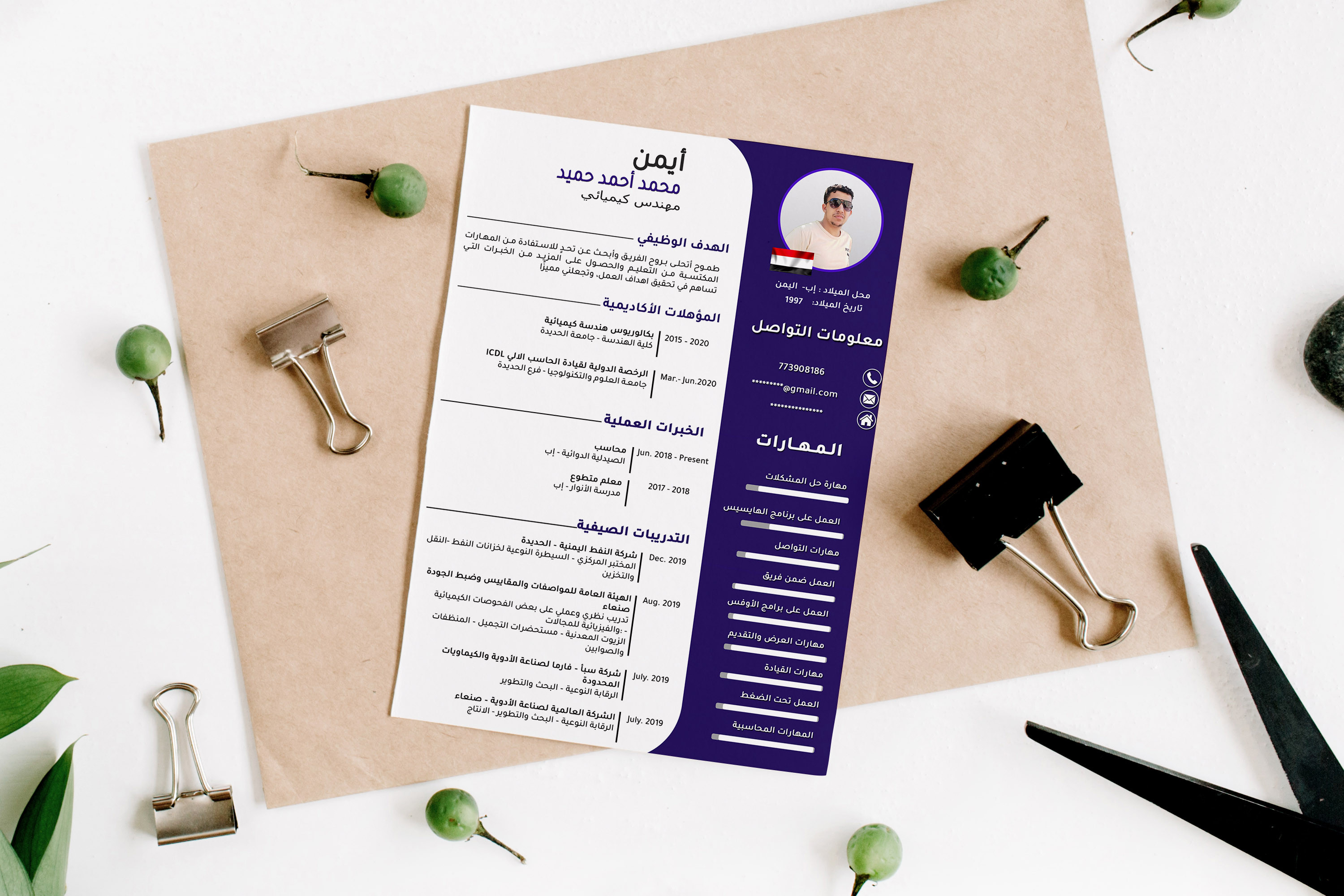 سوف اقوم بعمل سيرة ذاتية أحترافية CV وأنيقة