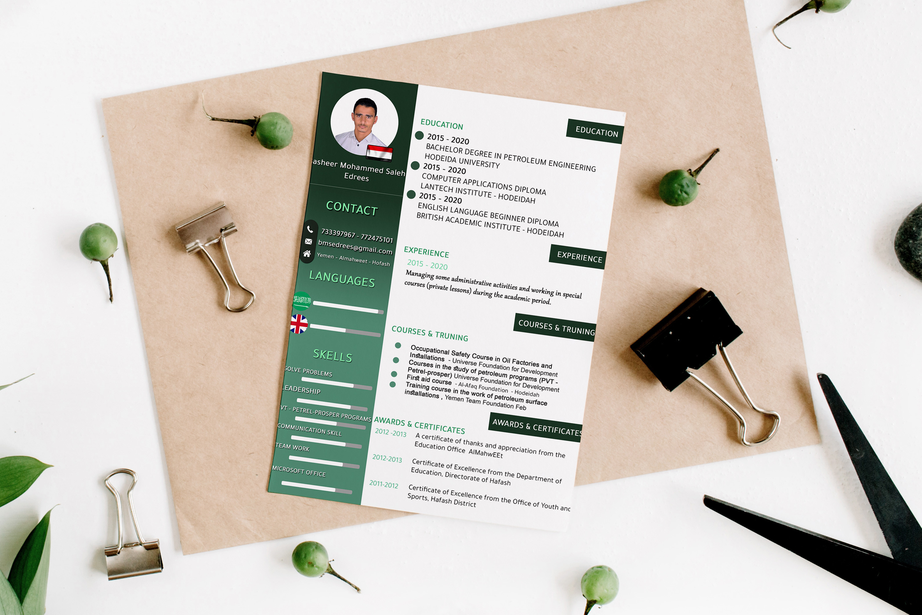 سوف اقوم بعمل سيرة ذاتية أحترافية CV وأنيقة