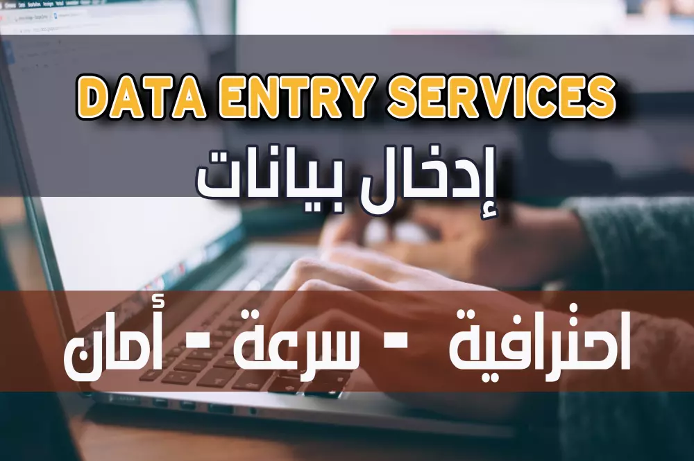 Data Entry إدخال بيانات باللغه العربيه او الانجليزيه مع ضمان  سرعة ودقة التنفيذ