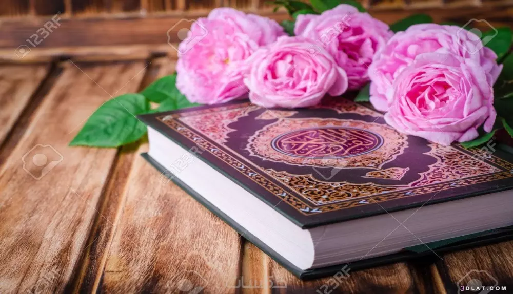 تعليم القران والتجويد (عن بعد)