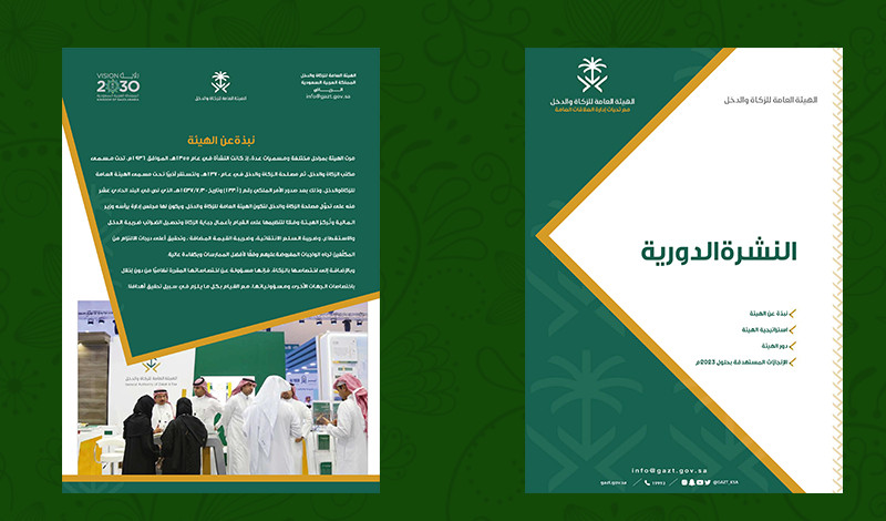 انفوجرافيك احترافي ومناسب Professional infographic