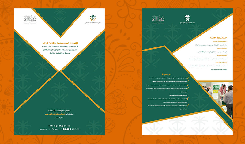 انفوجرافيك احترافي ومناسب Professional infographic