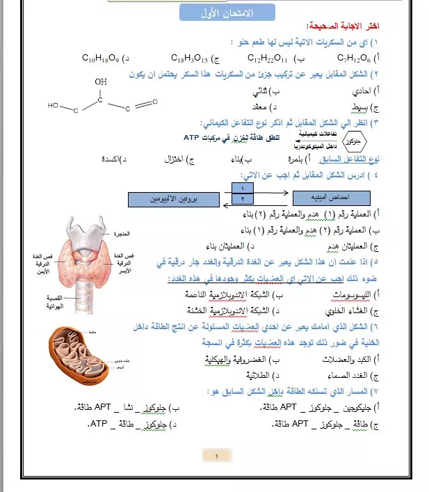 كتابة النصوص باستخدام Microsoft Word بإتقان وأسرع وقت
