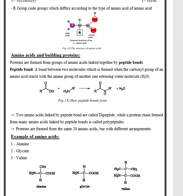 كتابة النصوص باستخدام Microsoft Word بإتقان وأسرع وقت