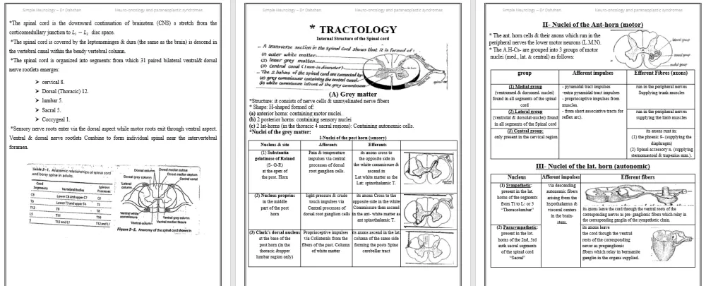 كتابة النصوص باستخدام Microsoft Word بإتقان وأسرع وقت