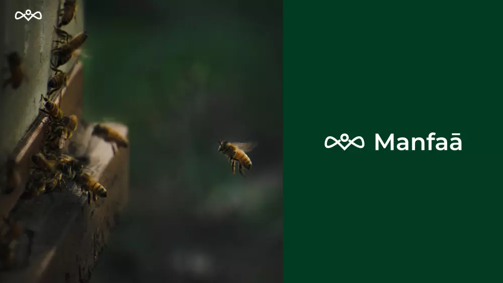 تصميم شعار لشركتك أو المؤسسة الخاصة بك