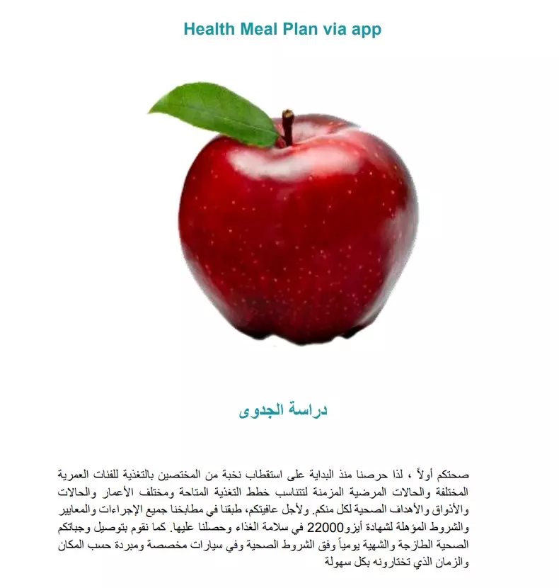 اعداد دراسات الجدوي