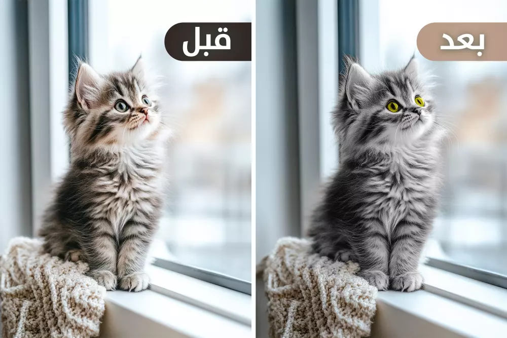 سأقوم بالتعديل على جميع أنواع الصور بالفوتوشوب