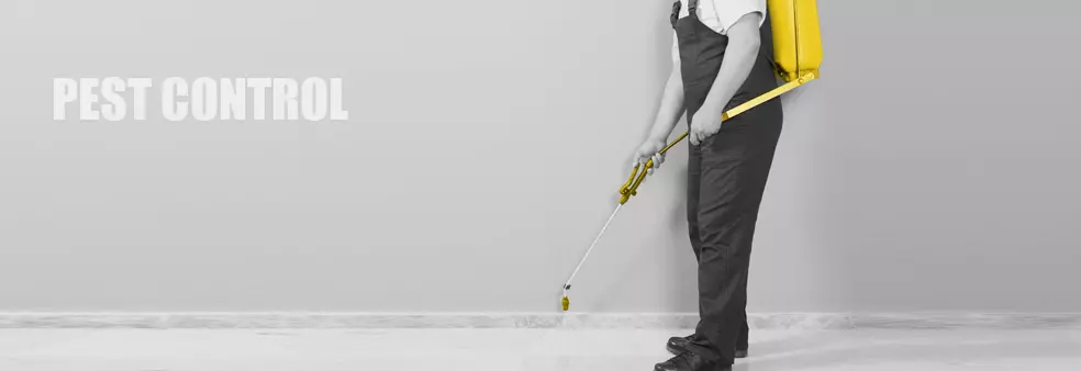 خدمات التأهيل للمشروعات والمناقصات والتنفيذ في مجال  مكافحة الآفات pest control