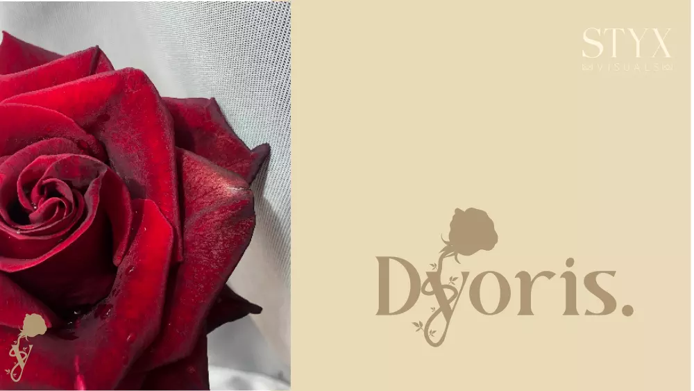 شعار / لوجو احترافي