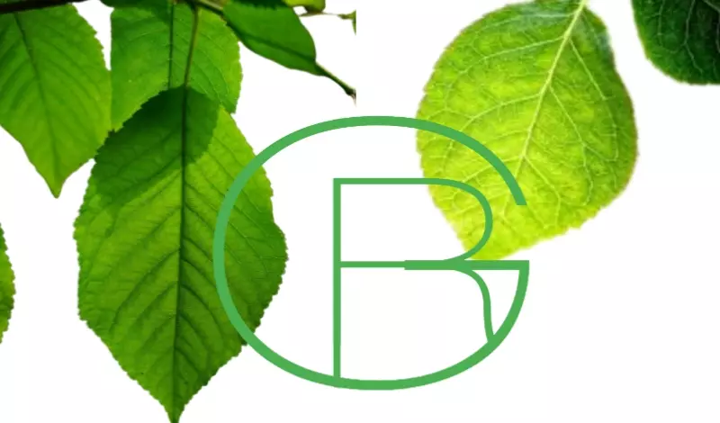 تصميم شعار كما تريد و كما هو في ذهنك بشكل احترافي