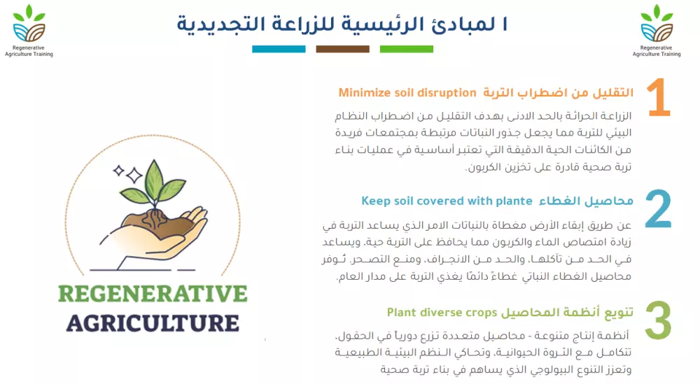 تصاميم العروض التقديمية الاحترافية PowerPoint