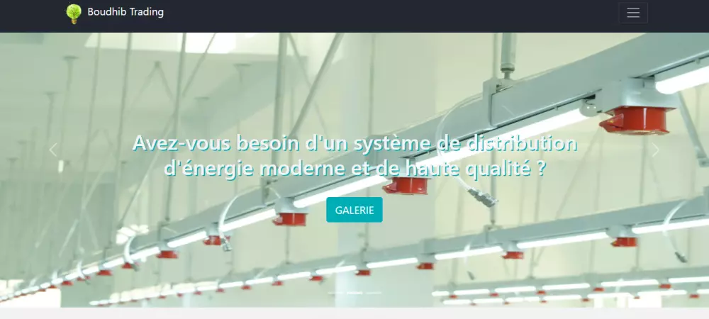 تصميم وبرمجة مواقع إلكترونية