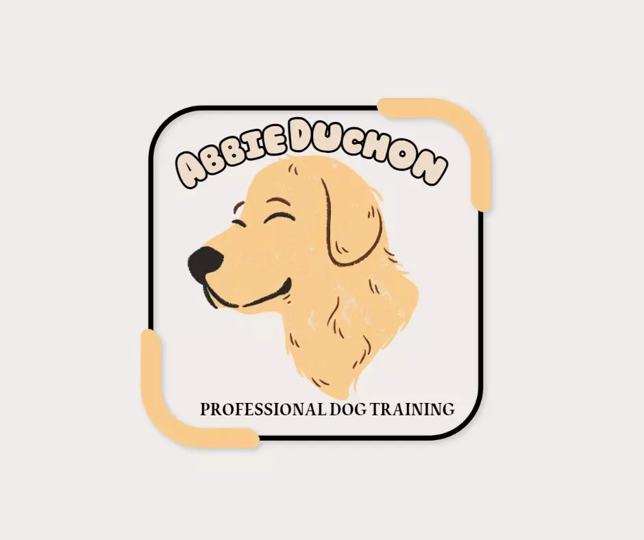 تصميم شعار مبتكر وحديث