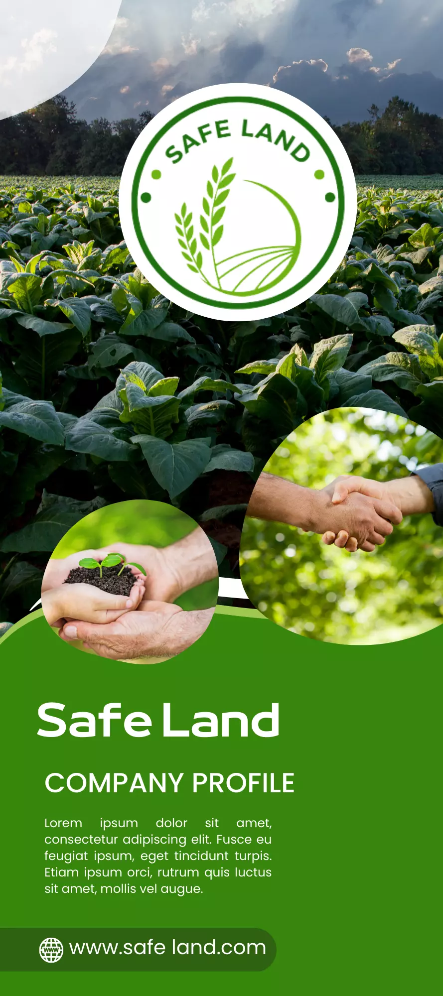 تصميم إعلانات السوشيال ميديا احترافيه