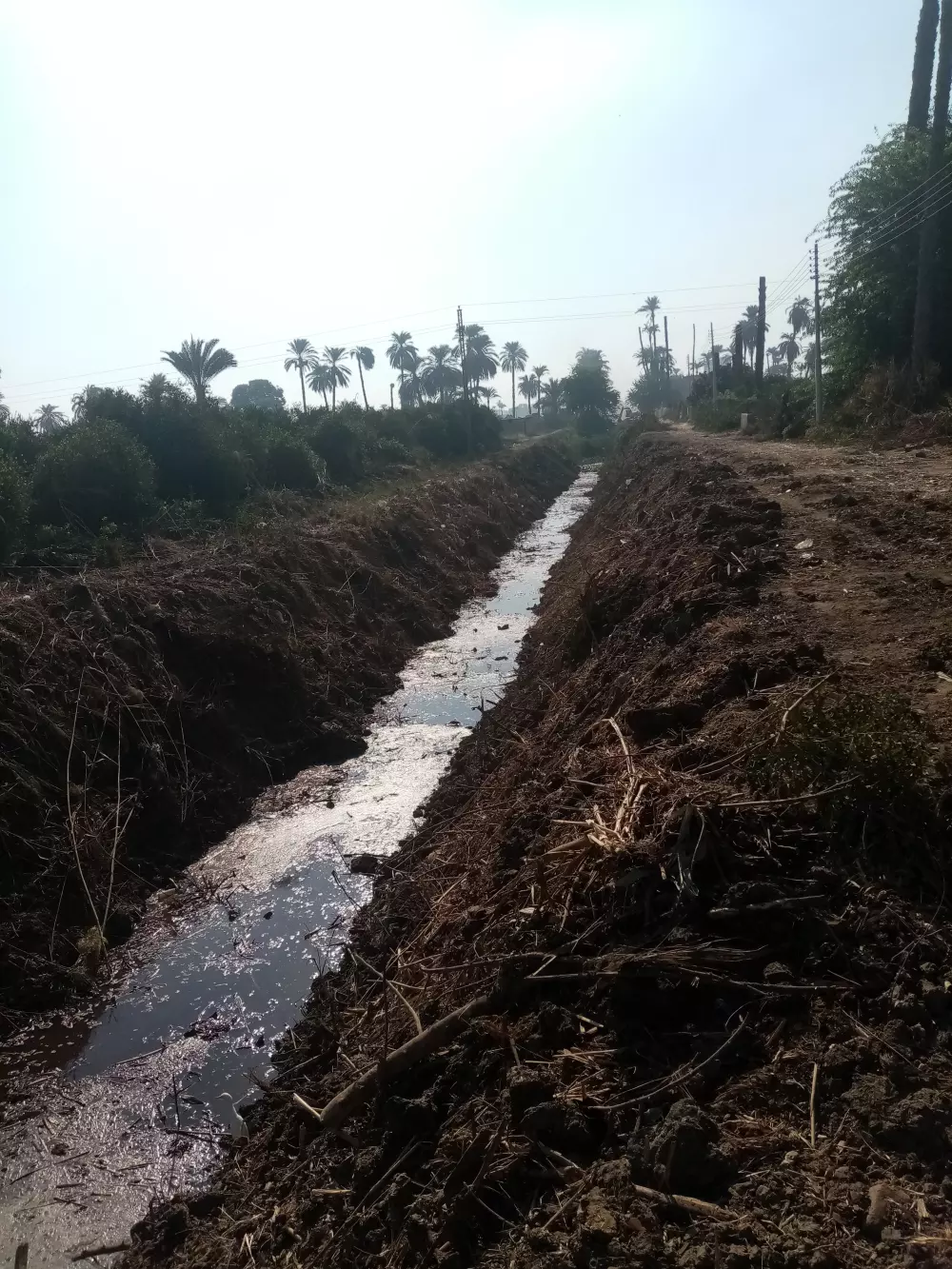 تقديم استشارات ونصائح للمبتدئين في مجال تبطين الترع