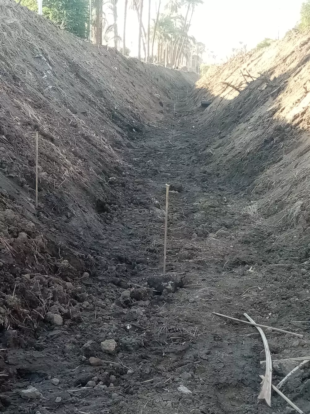 تقديم استشارات ونصائح للمبتدئين في مجال تبطين الترع