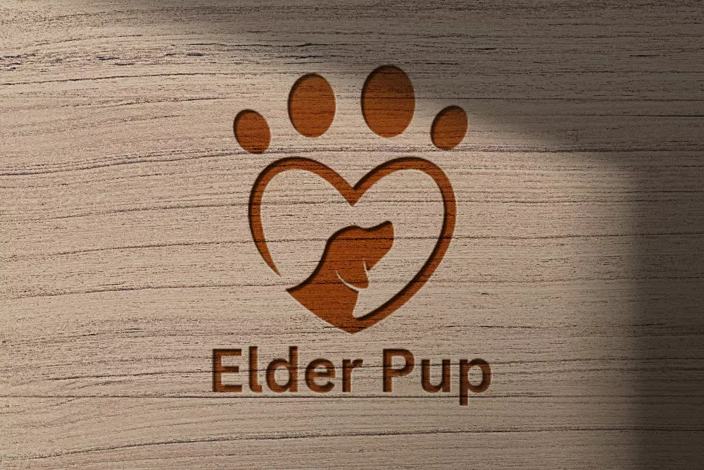 تصميم شعار احترافي 5$