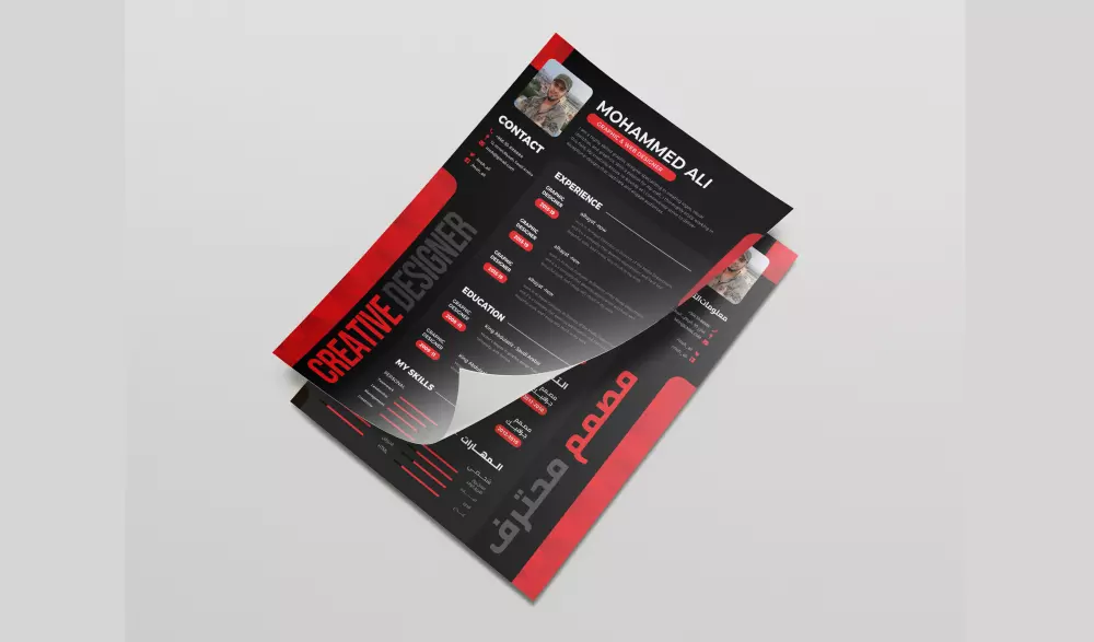 تصميم سيرة ذاتية CV بإبداع ودقة وبشكل احترافي وجذاب ووفقا للمعايير المطلوبة