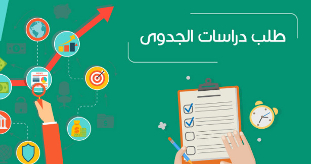 دراسه جدوي احترافيه لاي مشروع