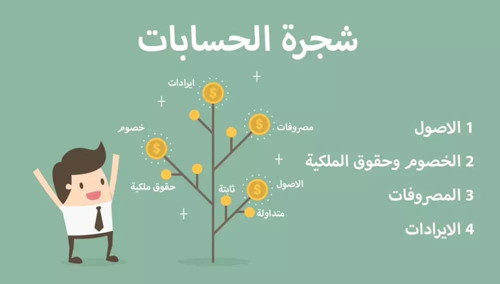 دليل محاسبي