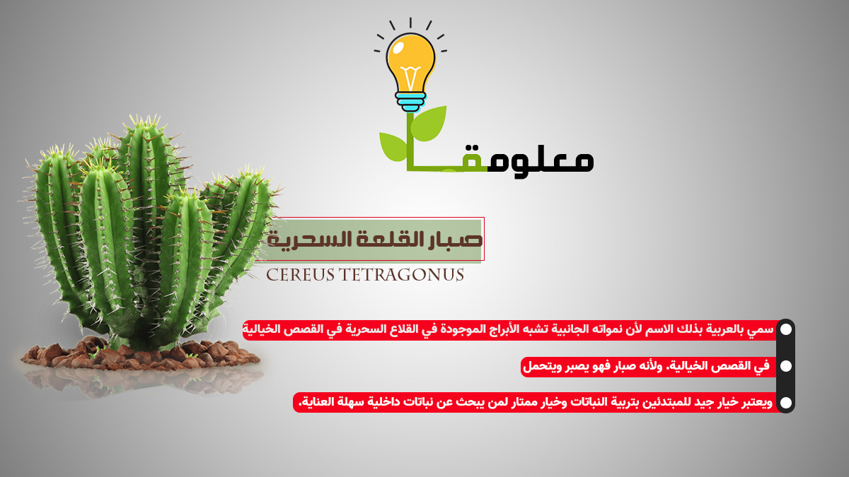 اصمم لك تصاميم سوشيال ميديا بأحترافية