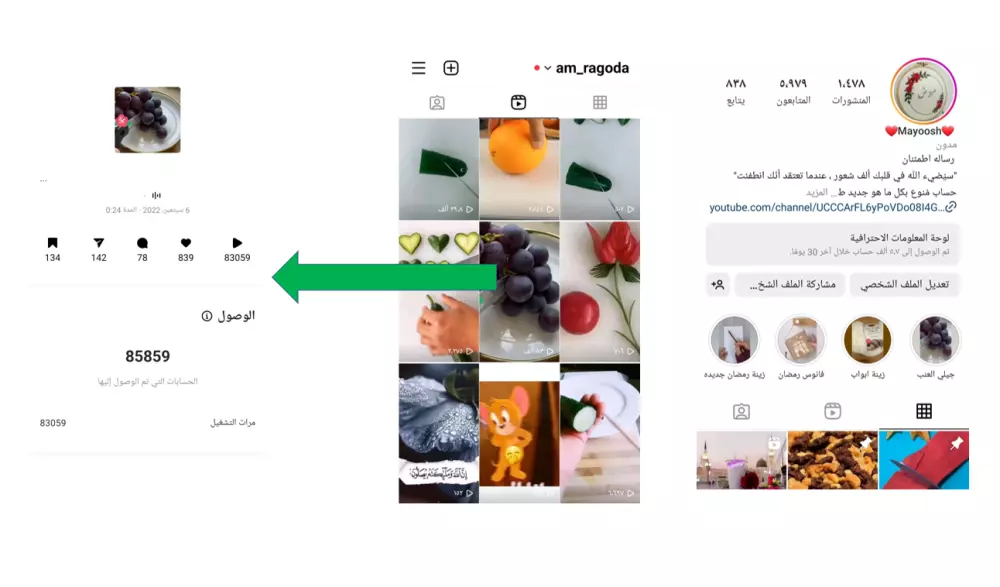 ادارة منصات السوشيال ميديا