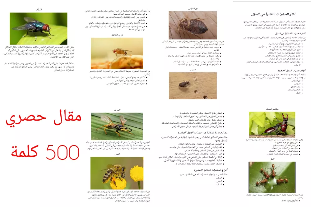 كتابة مقالات حصرية متوافقة مع قواعد الـSEO