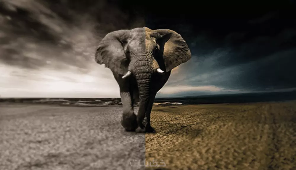 تحويل الصور غير الملونة إلى ملونة