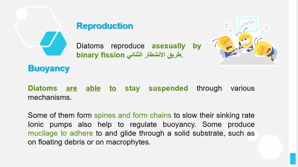 تصميم عرض تقديمي ( برزنتيشن احترافي)