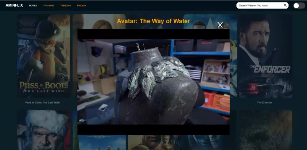 انشاء مواقع احترافية