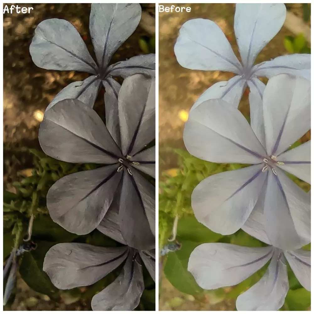 ترميم ومعالجة الصور وعمل إيديت للصور