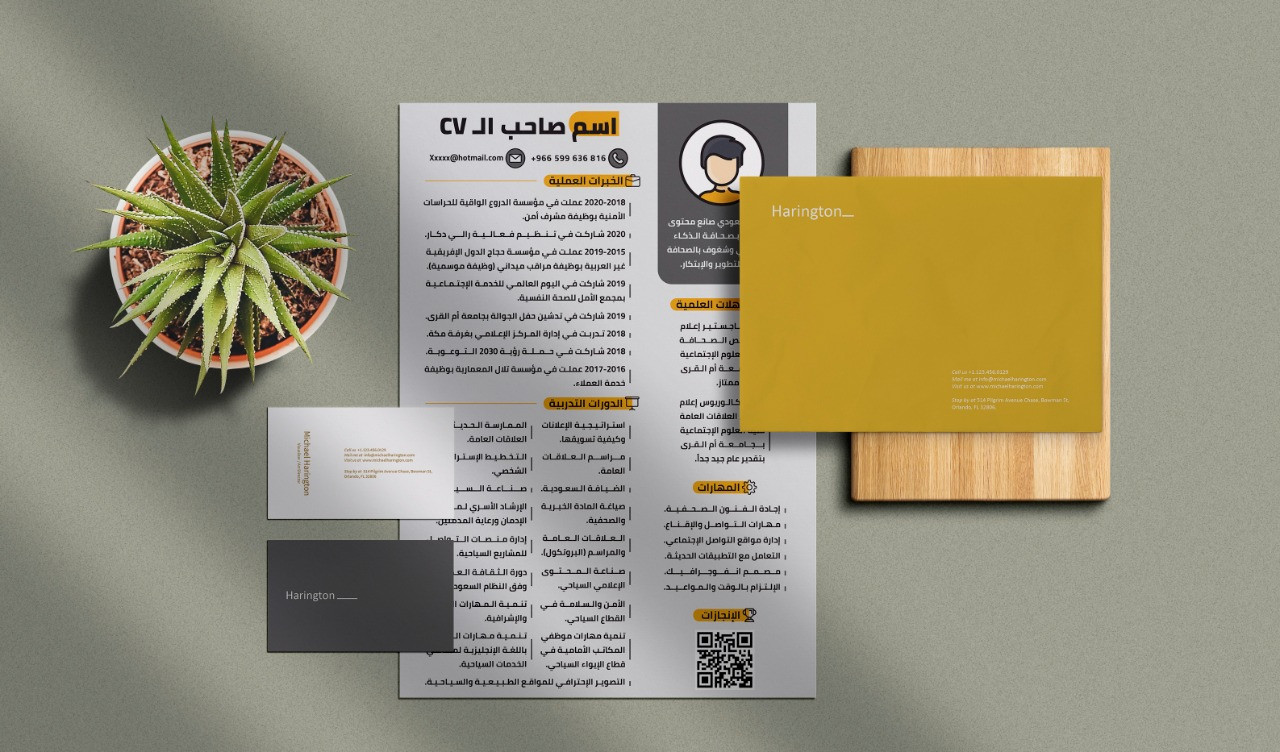 تصميم سيرة ذاتية cv إحترافية