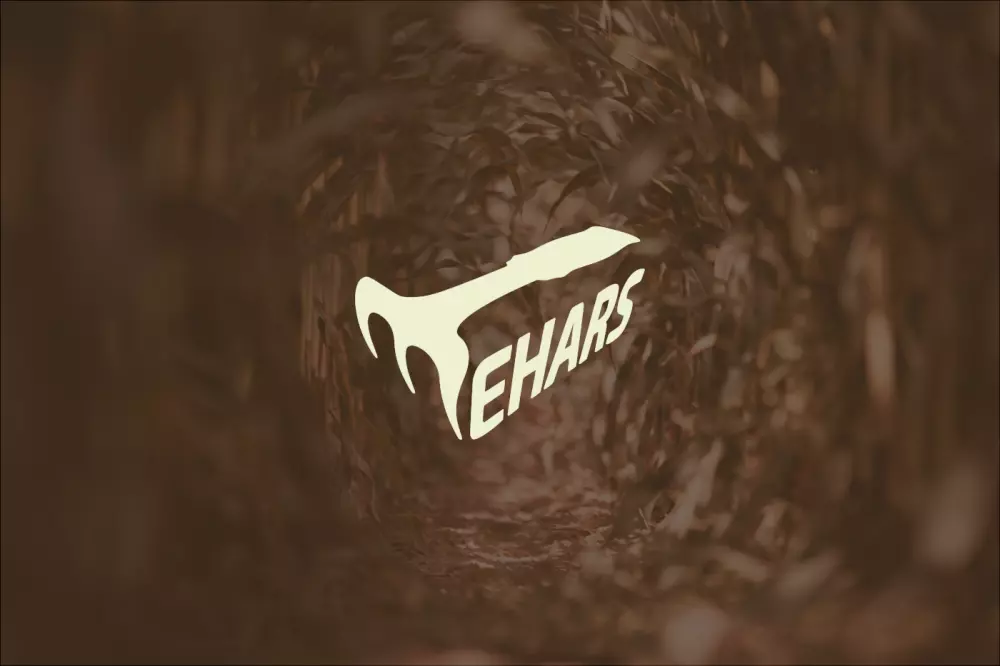 تصميم شعار ابداعي خاطف للانظار