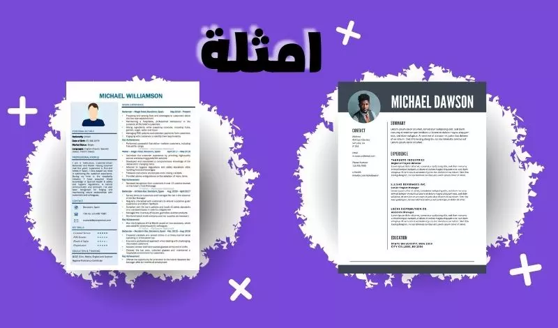 تصميم سيرة ذاتية مقابل 5 دولار