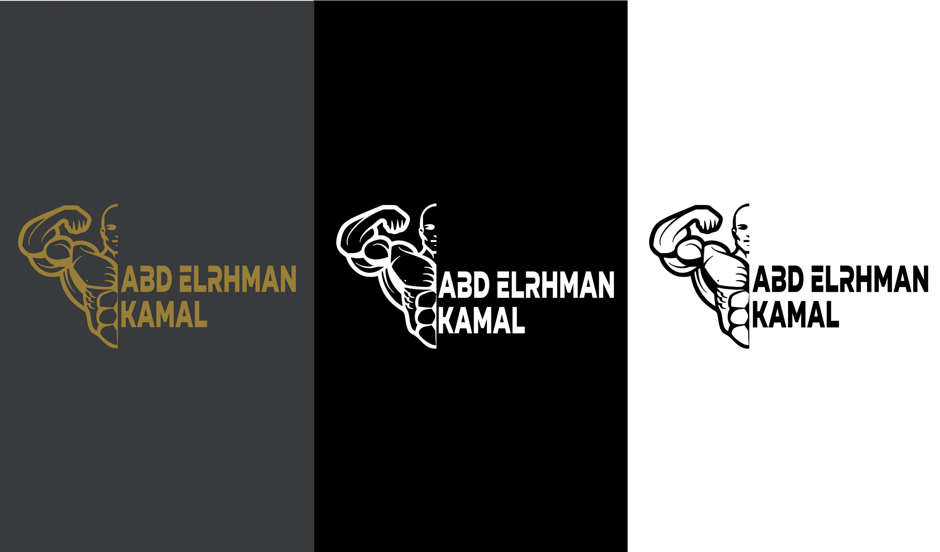 تصميم شعار احترافى لشركتك او متجرك