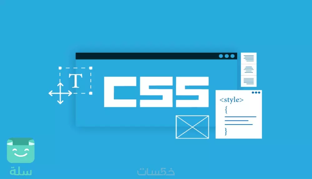 تنسيق متجرك على منصة سلة custom css